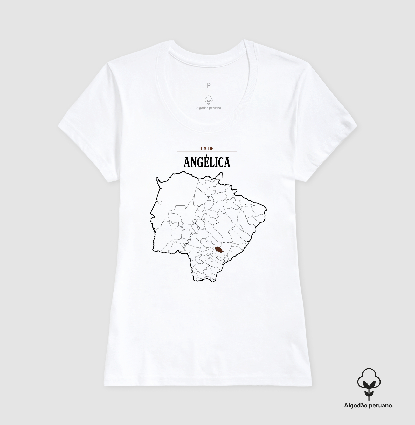 Angélica | Território MS - Imagem 5