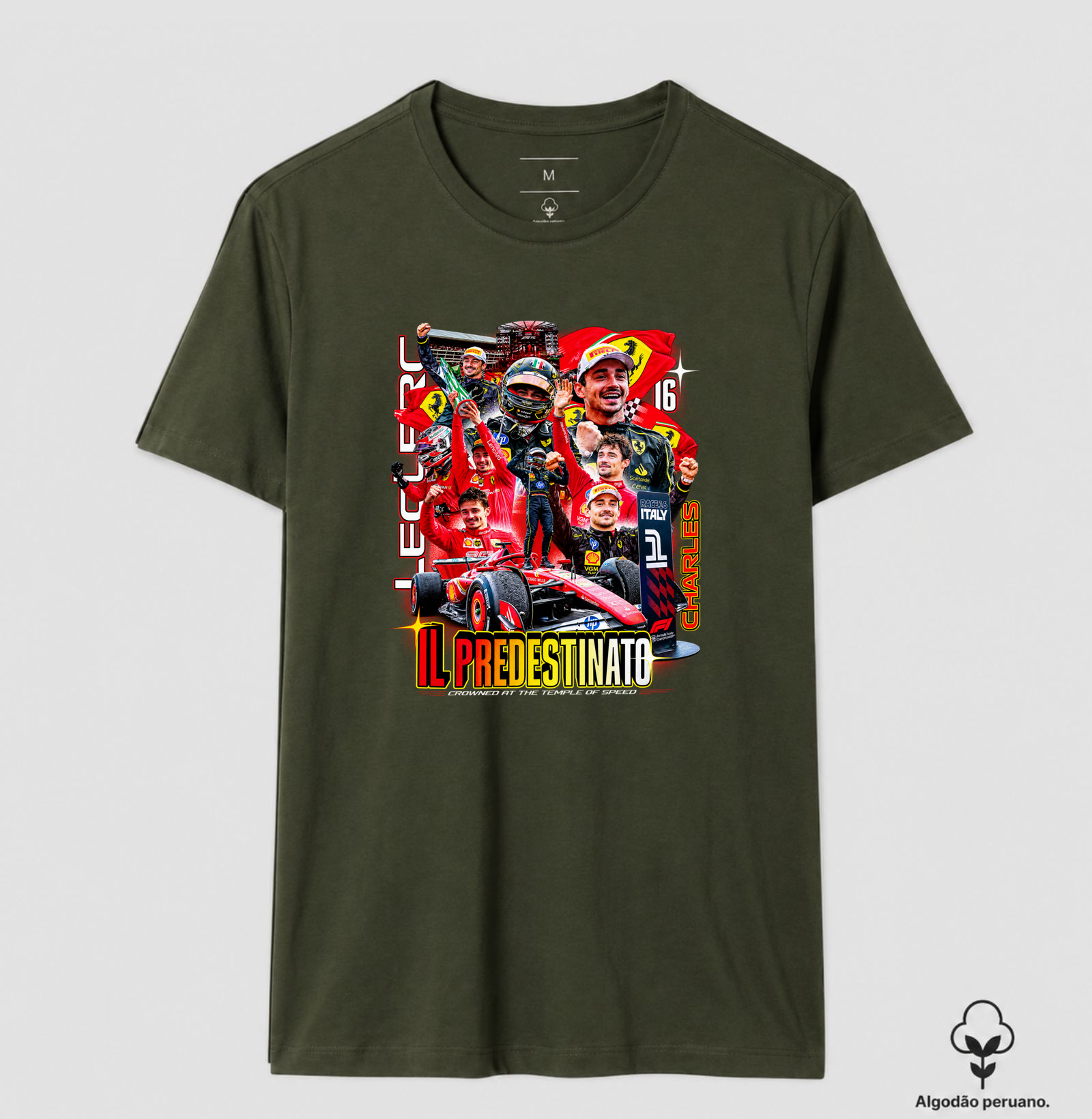 Charles Leclerc edição IL PREDESDINATO (edição limitada) - Imagem 7