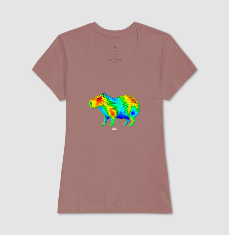 Aerodinâmica de uma Capivara - Imagem 17
