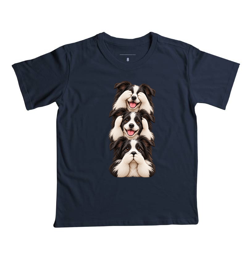 Ver, ouvir e falar Border Collie - Imagem 4