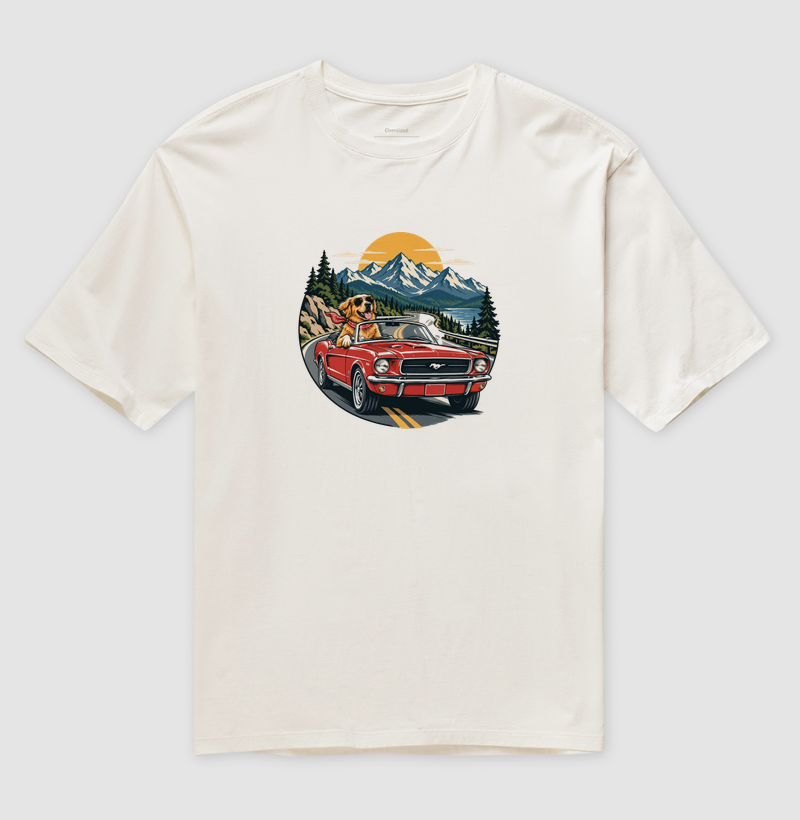 Road Trip - Imagem 4