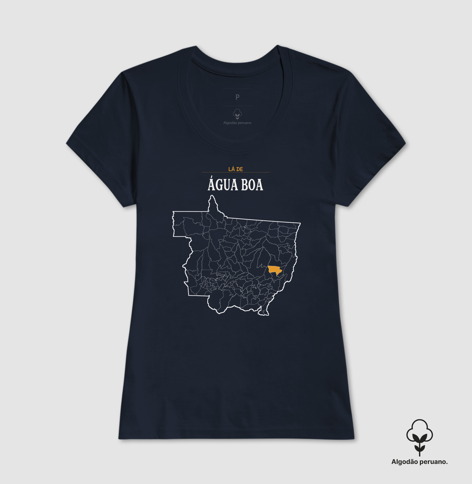 Água Boa | Território MT - Imagem 4