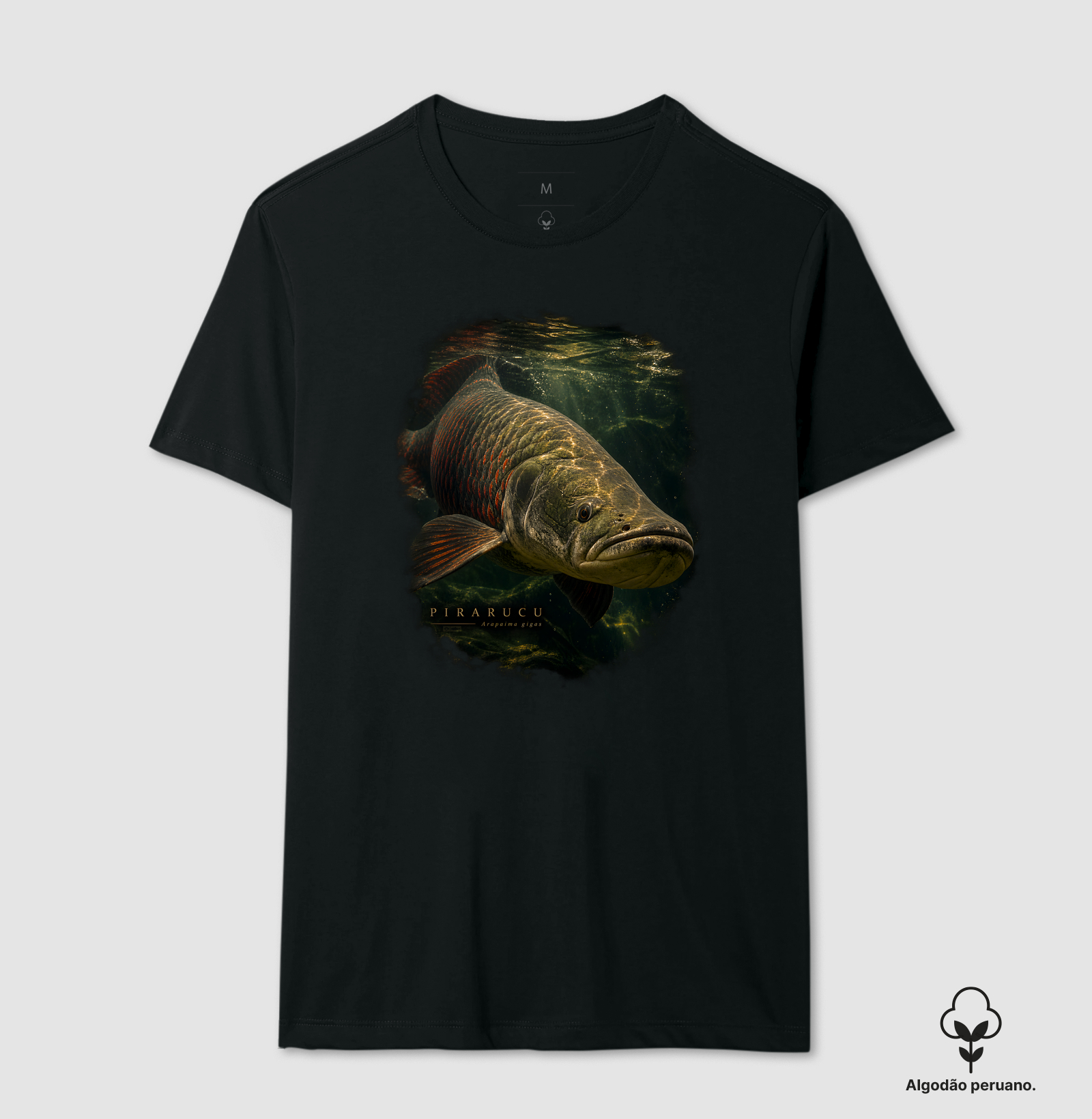 PIRARUCU — MÍSSIL DA AMAZÔNIA - Imagem 2
