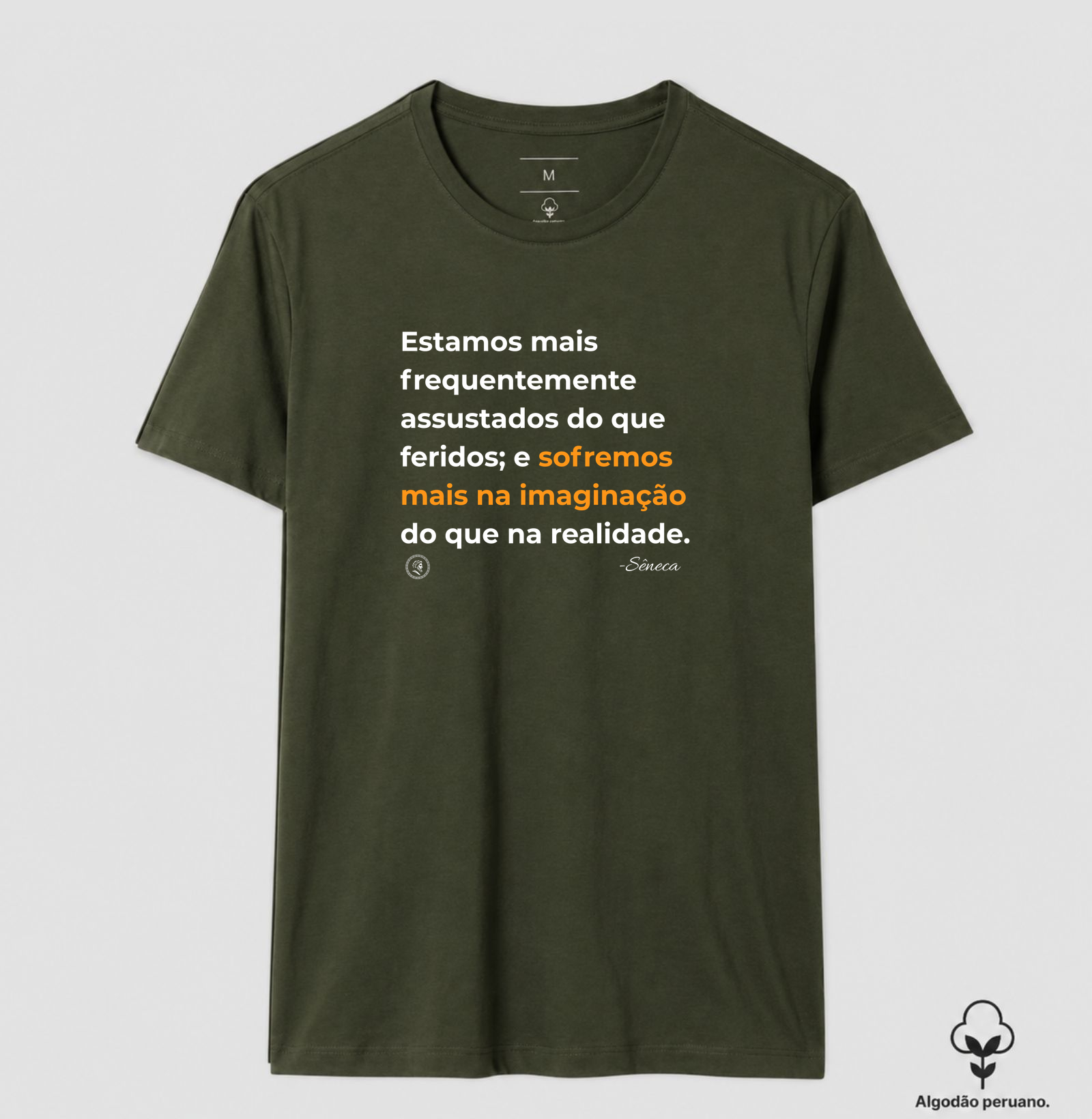 Filosofia Estoicismo de Sêneca "Sofremos mais na imaginação" - Imagem 9