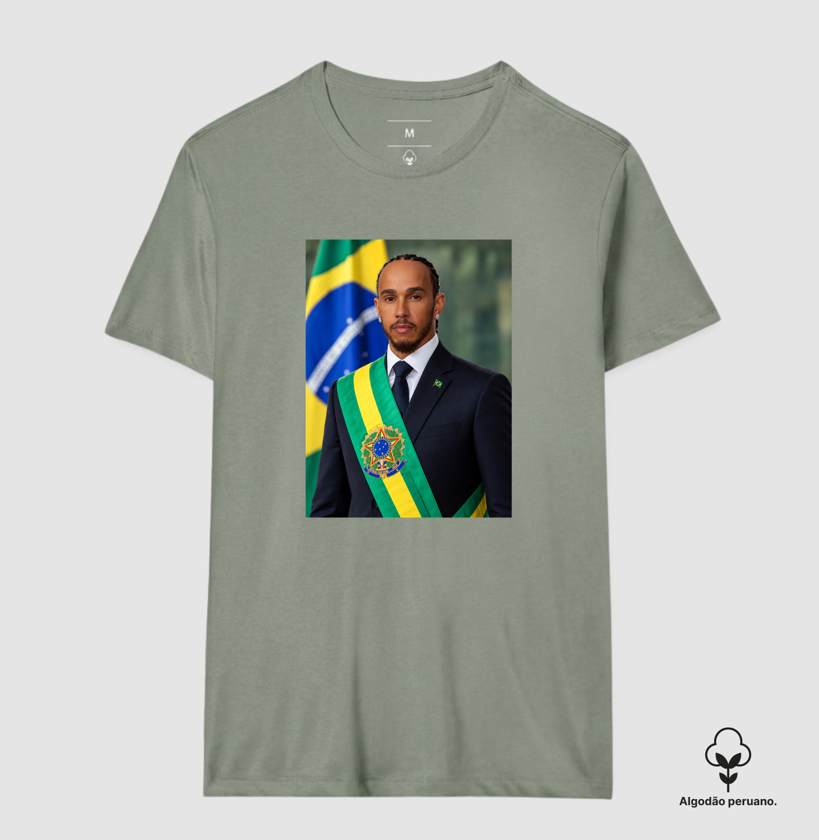 Hamilton Presidente - Imagem 7