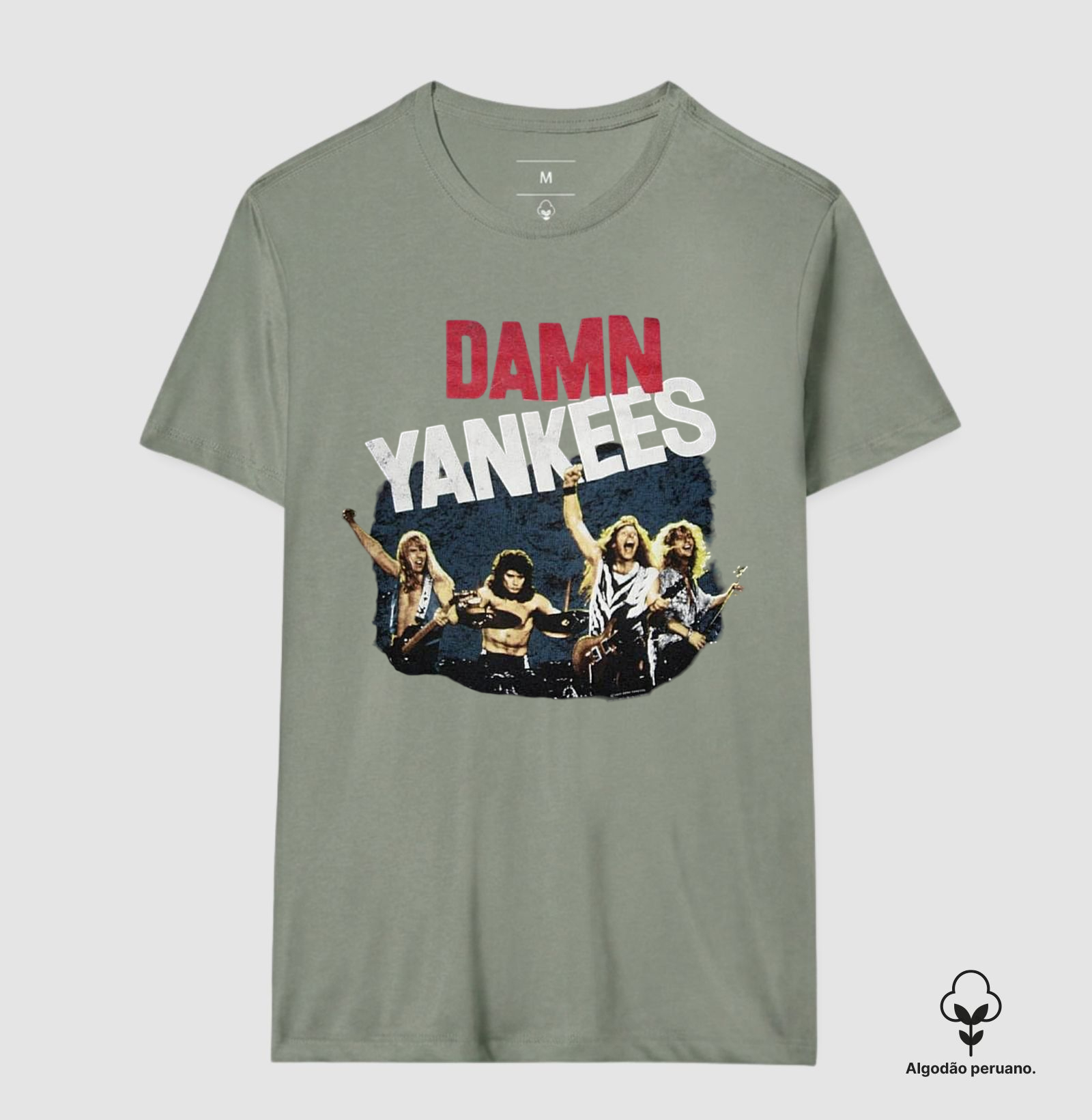 Damn Yankees - Integrantes - Imagem 7