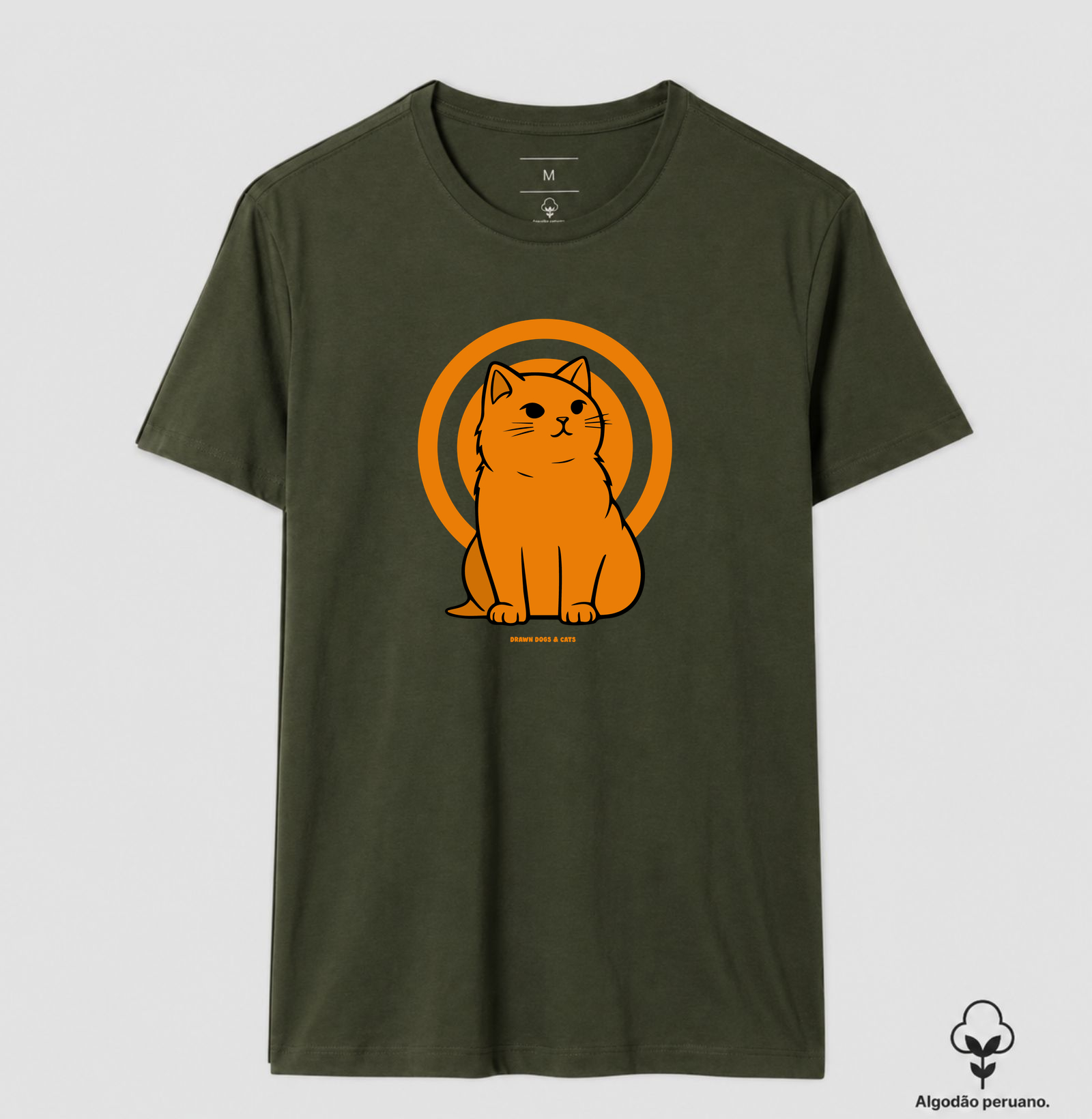 Gato laranja - Imagem 8