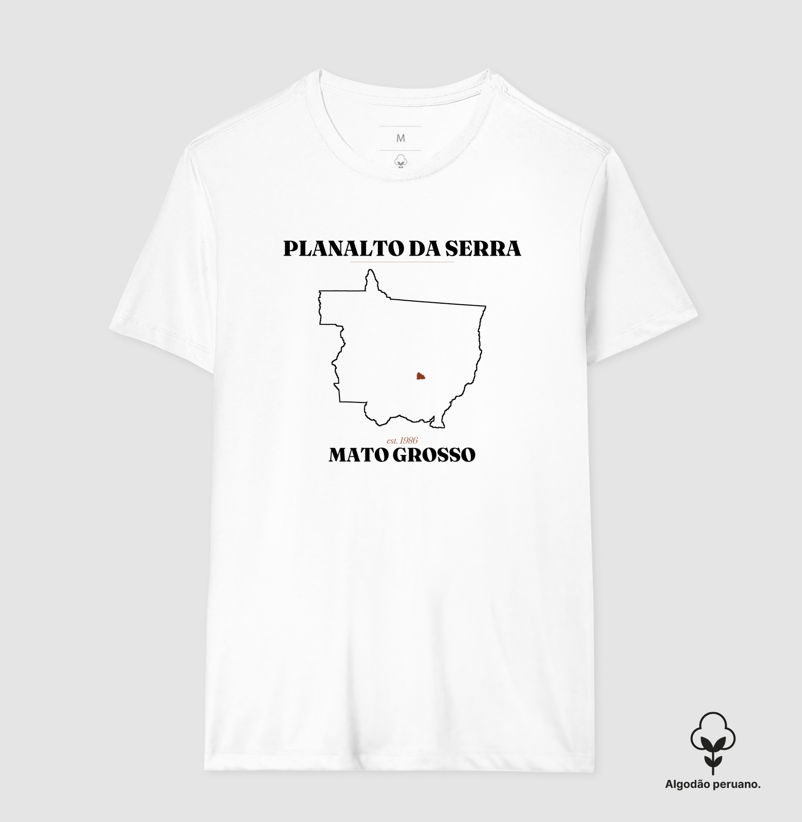 Camisa 1