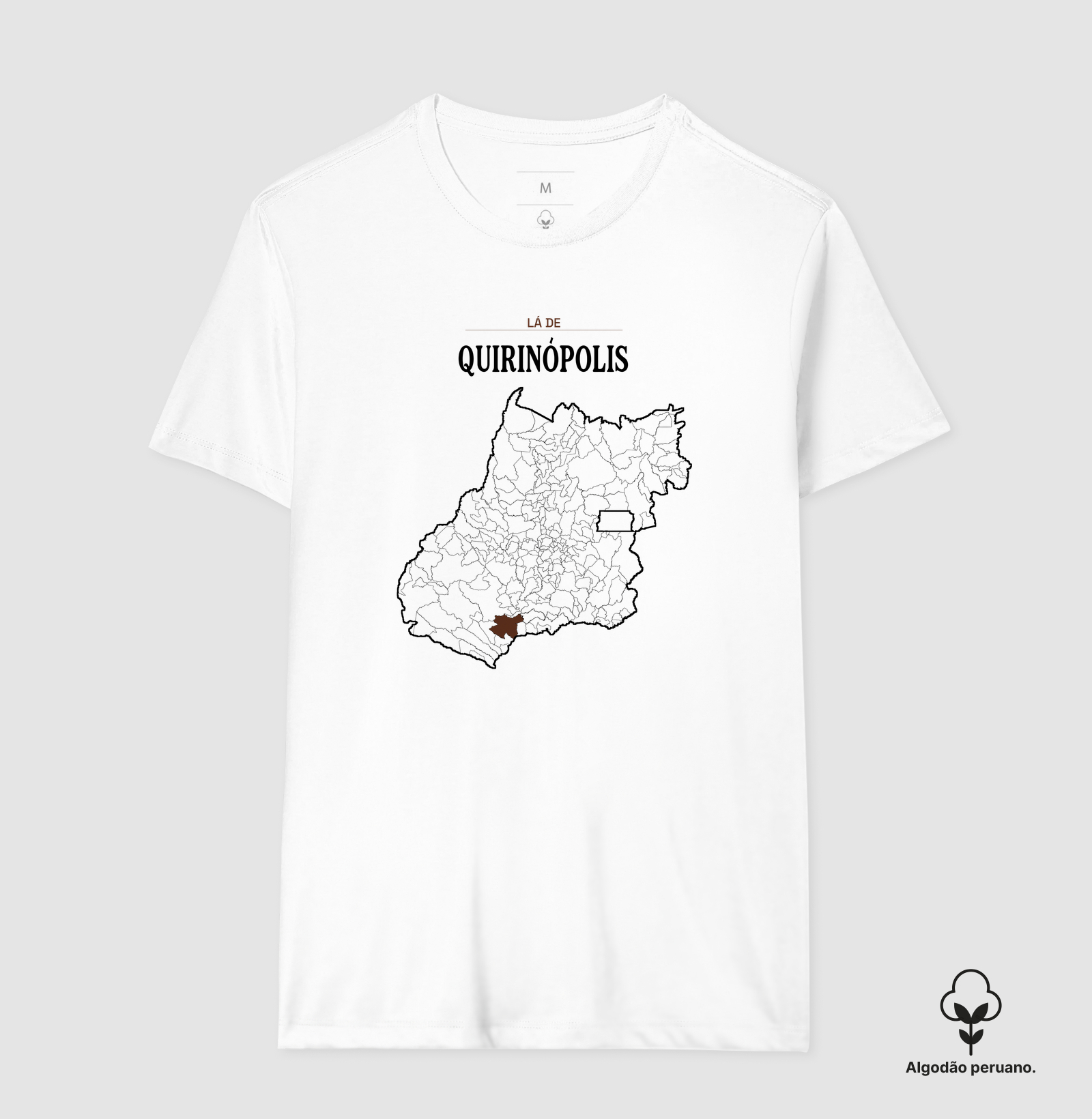 Quirinópolis | Território GO - Imagem 6