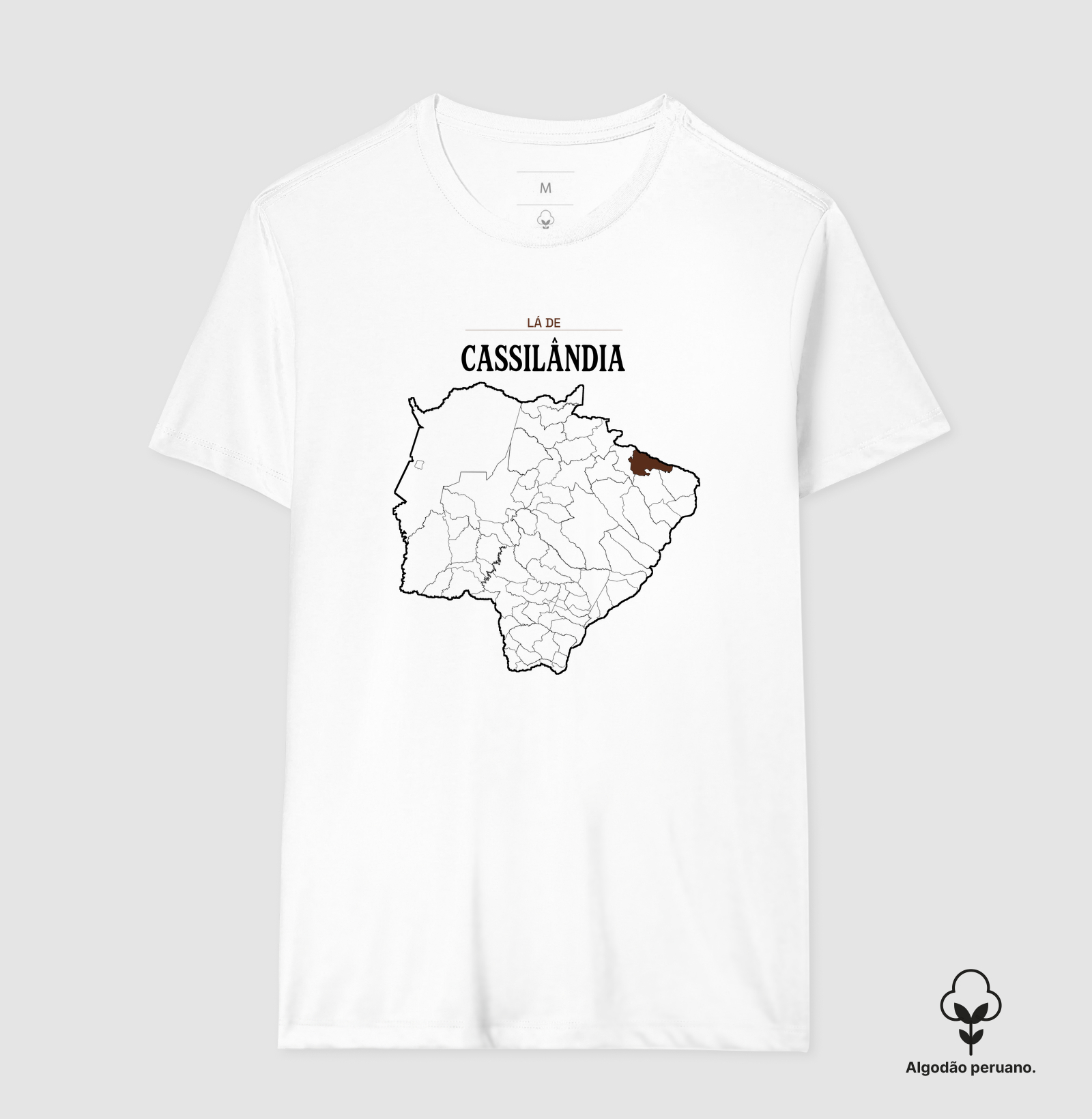 Cassilândia | Território MS - Imagem 8