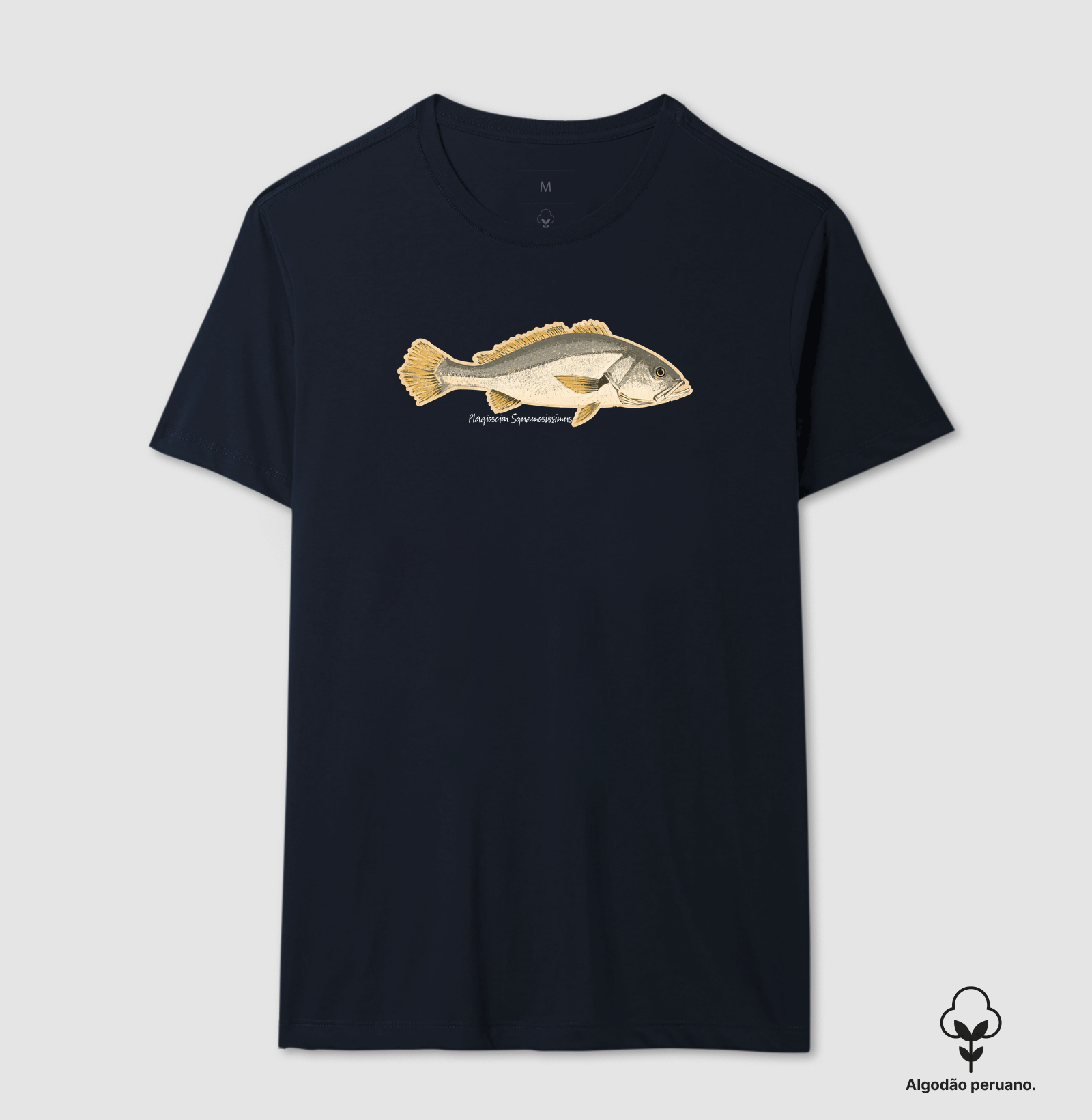 🎣 Corvina 🐟 - Imagem 8