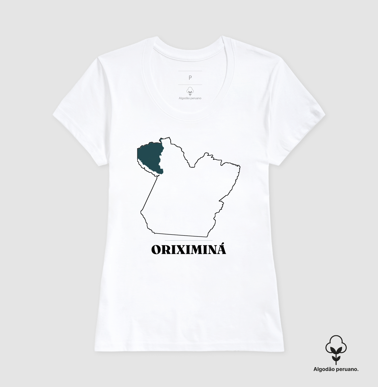 Oriximiná | Traço PA - Imagem 3