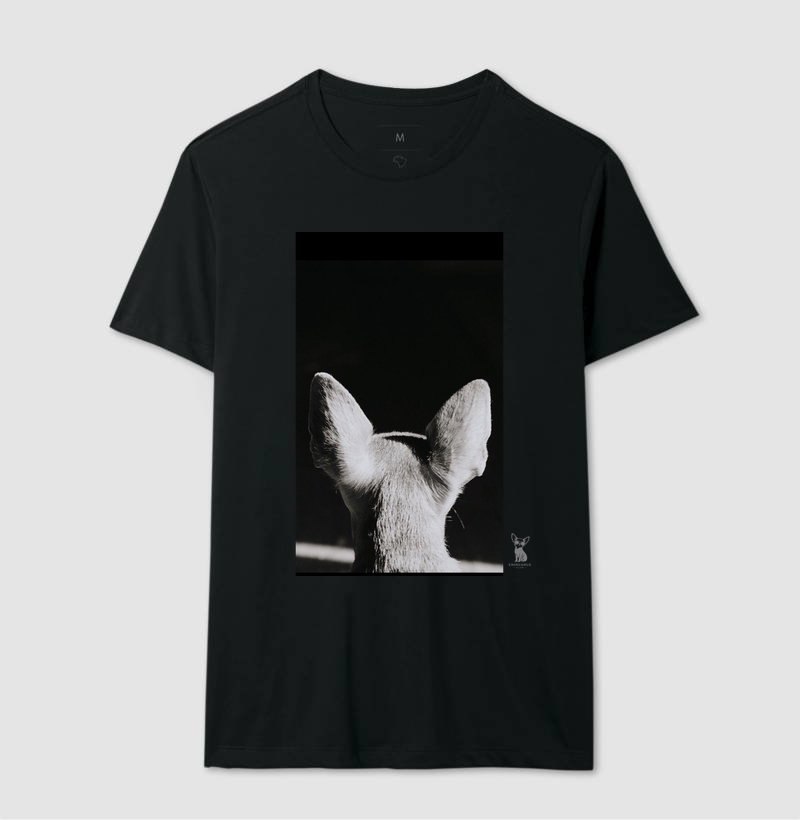 Chihuahua  - Imagem 2