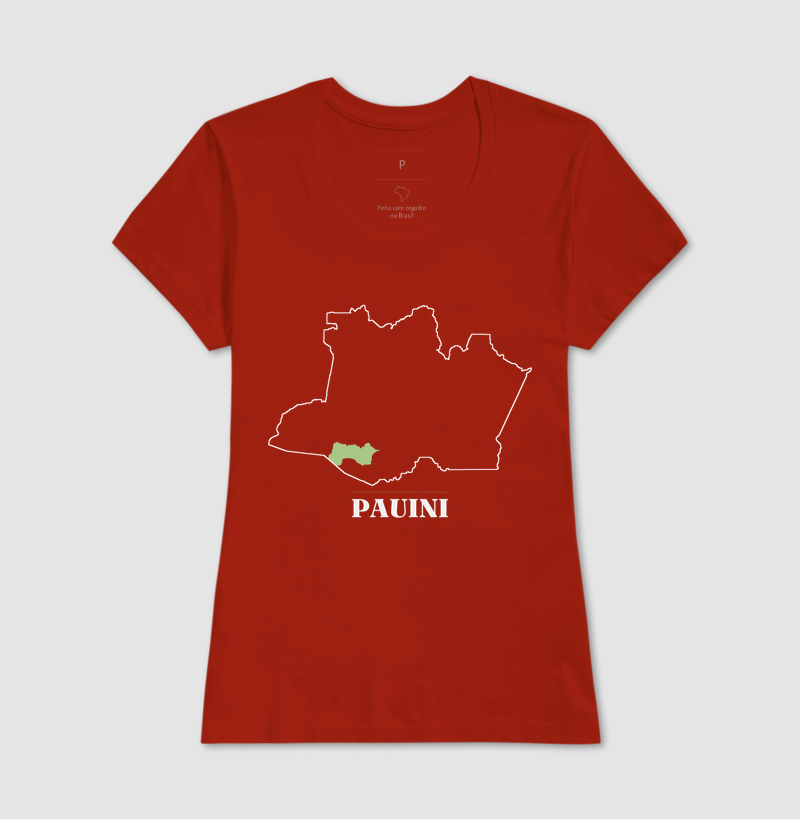 Pauini | Traço AM - Imagem 11