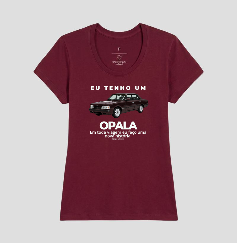 Eu tenho um Opala Diplomata vinho - Imagem 19