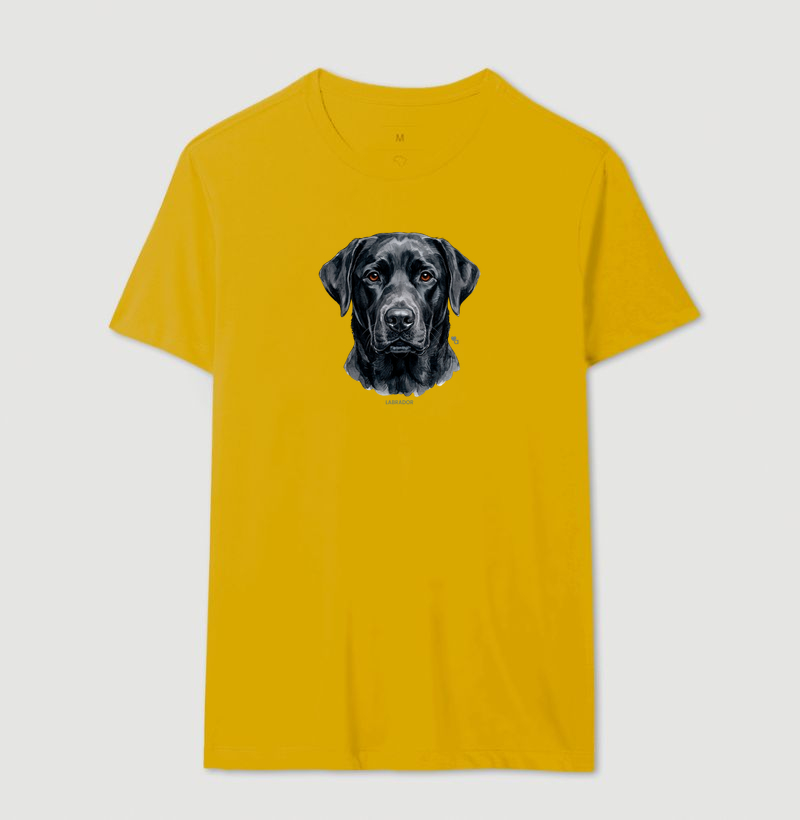 Cães - Labrador preto - Imagem 12