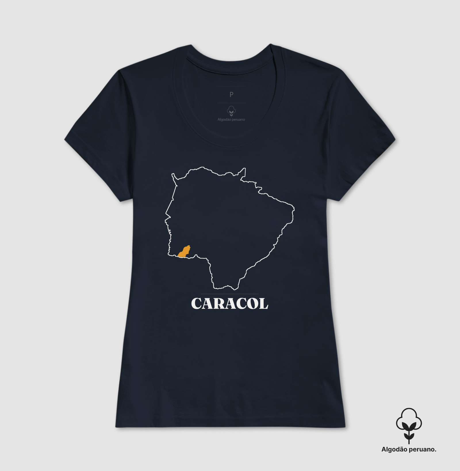 Caracol | Traço MS - Imagem 4