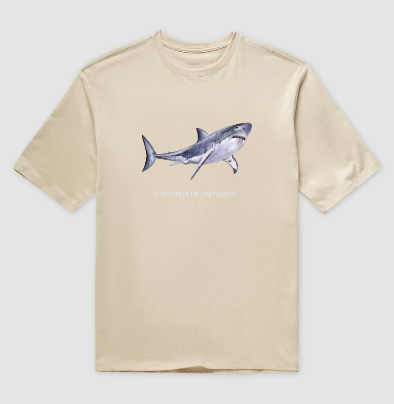 Carcharodon carcharias - Imagem 4