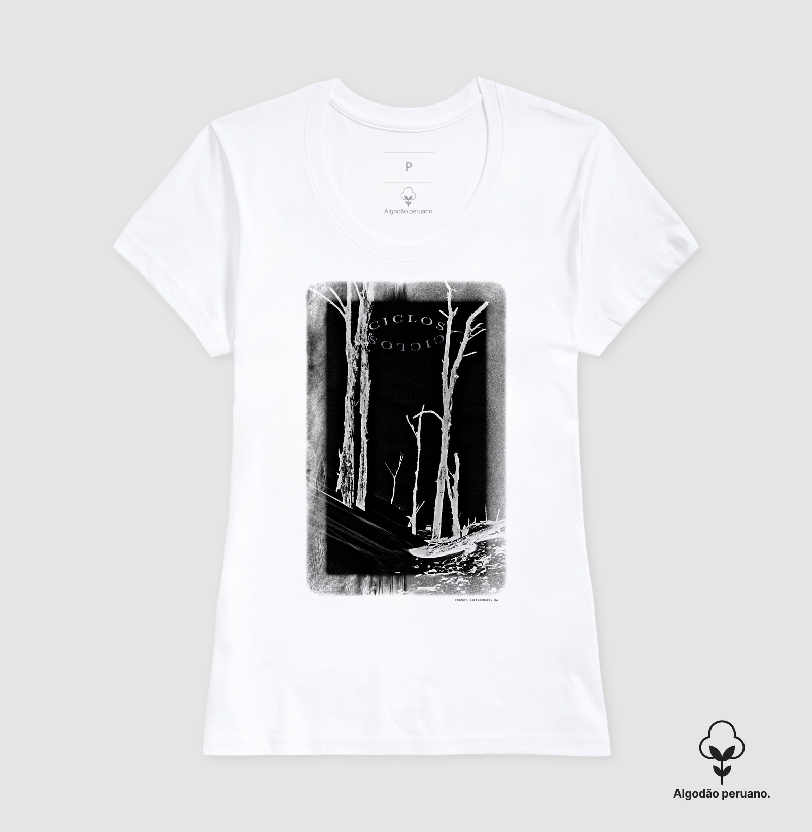 Ciclos - Imagem 4