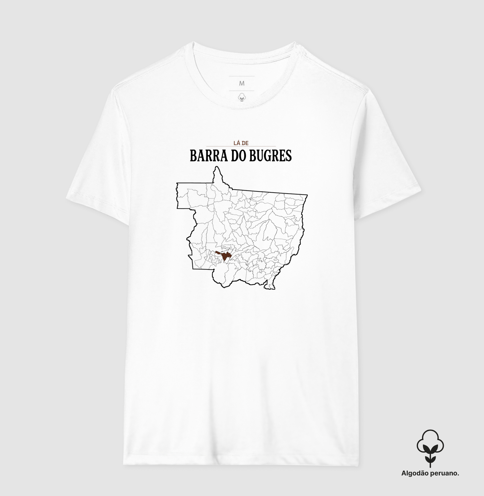 Barra do Bugres | Território MT - Imagem 7