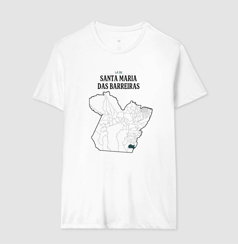 Santa Maria das Barreiras | Território PA - Imagem 4