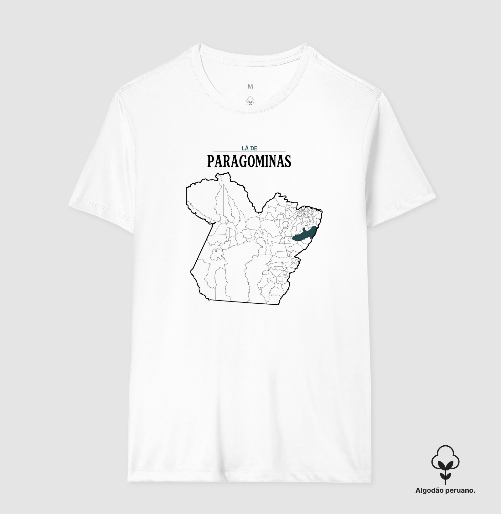 Paragominas | Território PA - Imagem 4