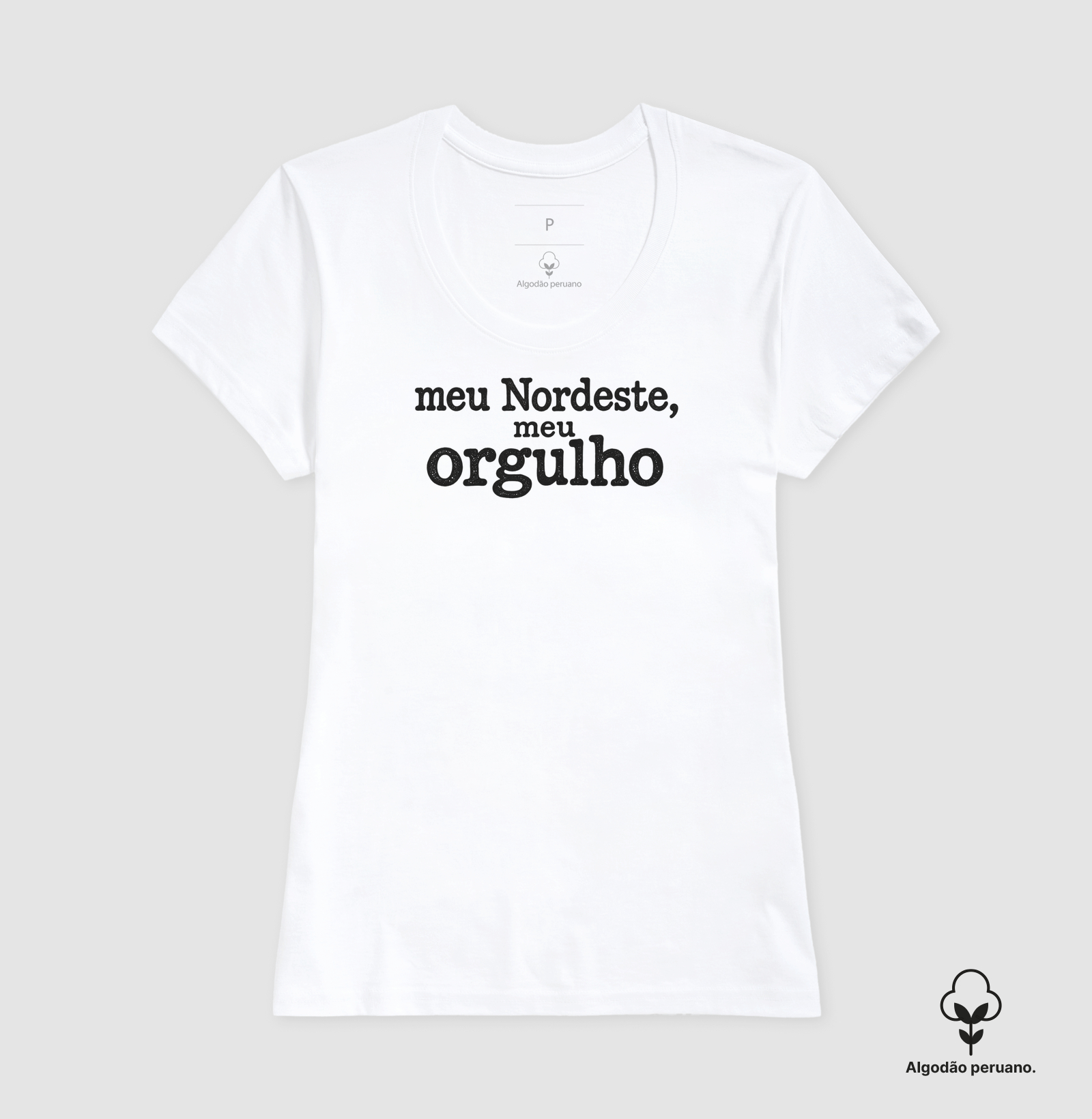 Meu Nordeste, meu orgulho - Imagem 9