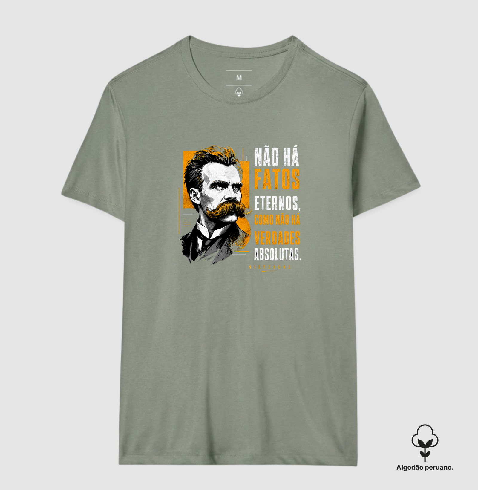 Filosofia de Nietzsche "Não há fatos eternos" - Imagem 5
