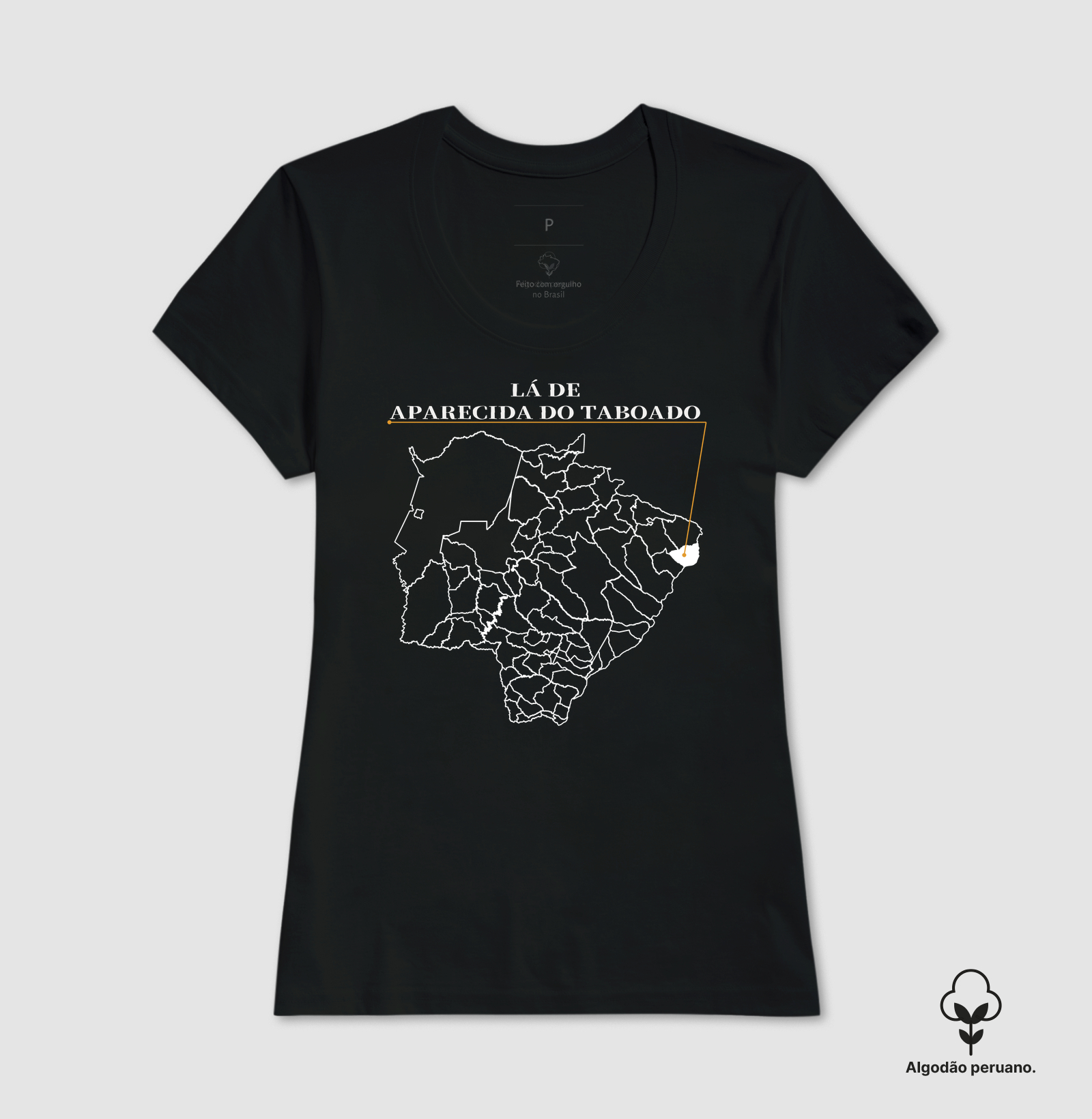 Aparecida do Taboado | Origem MS - Imagem 7