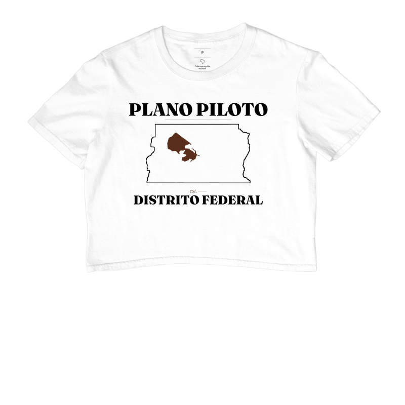 Plano Piloto | Legado DF - Imagem 3