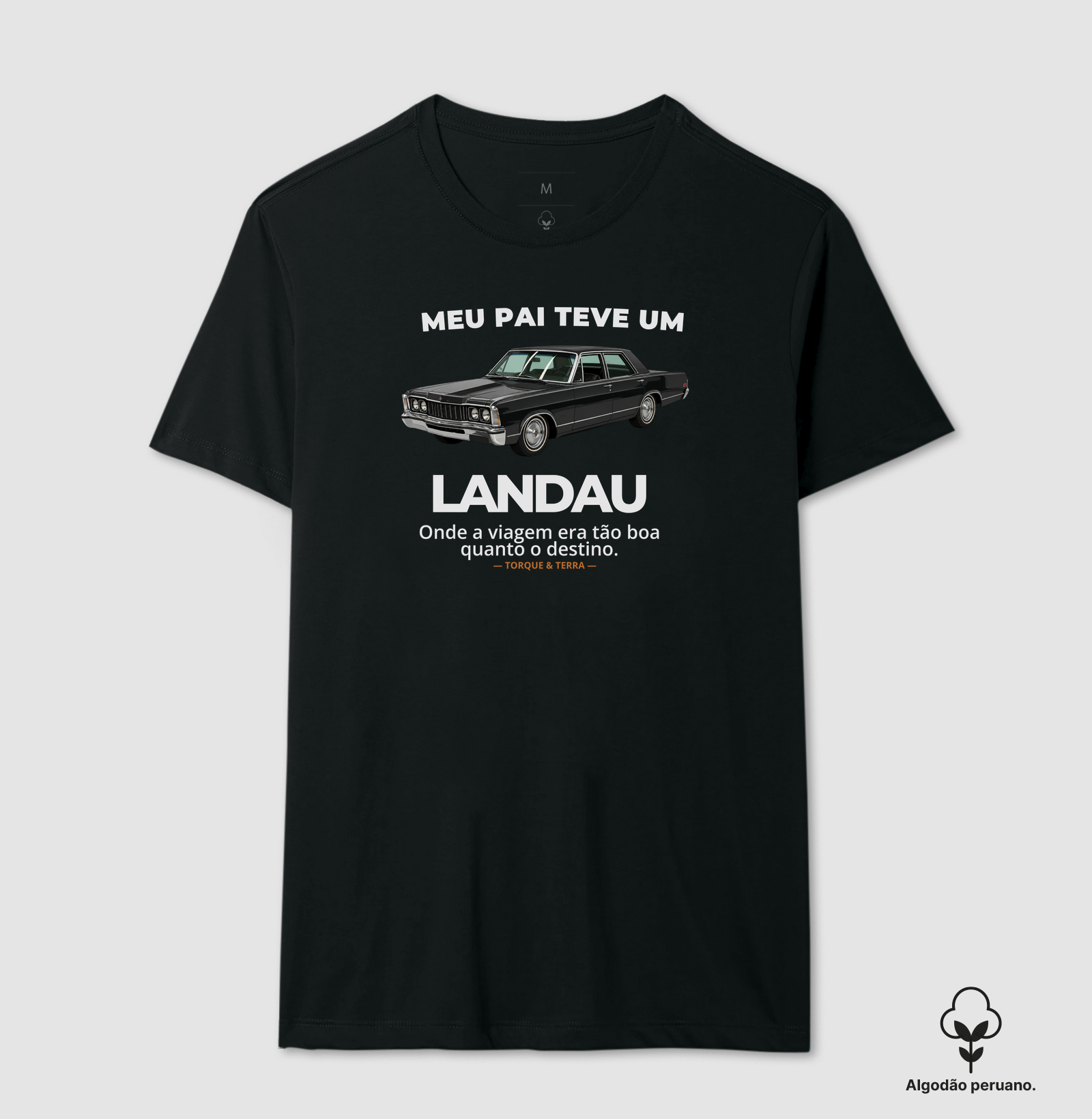 Meu pai teve um - LANDAU - Imagem 5