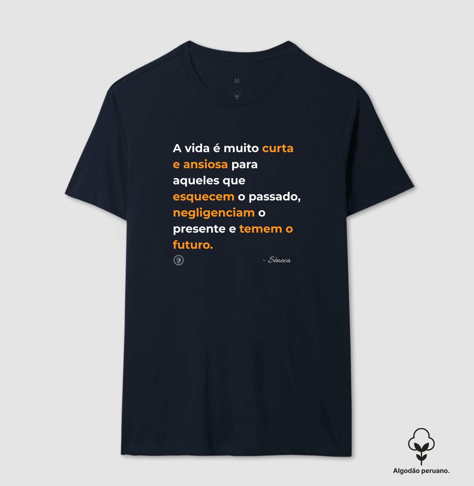 Estoicismo de Sêneca "A vida é muito curta" - Imagem 5