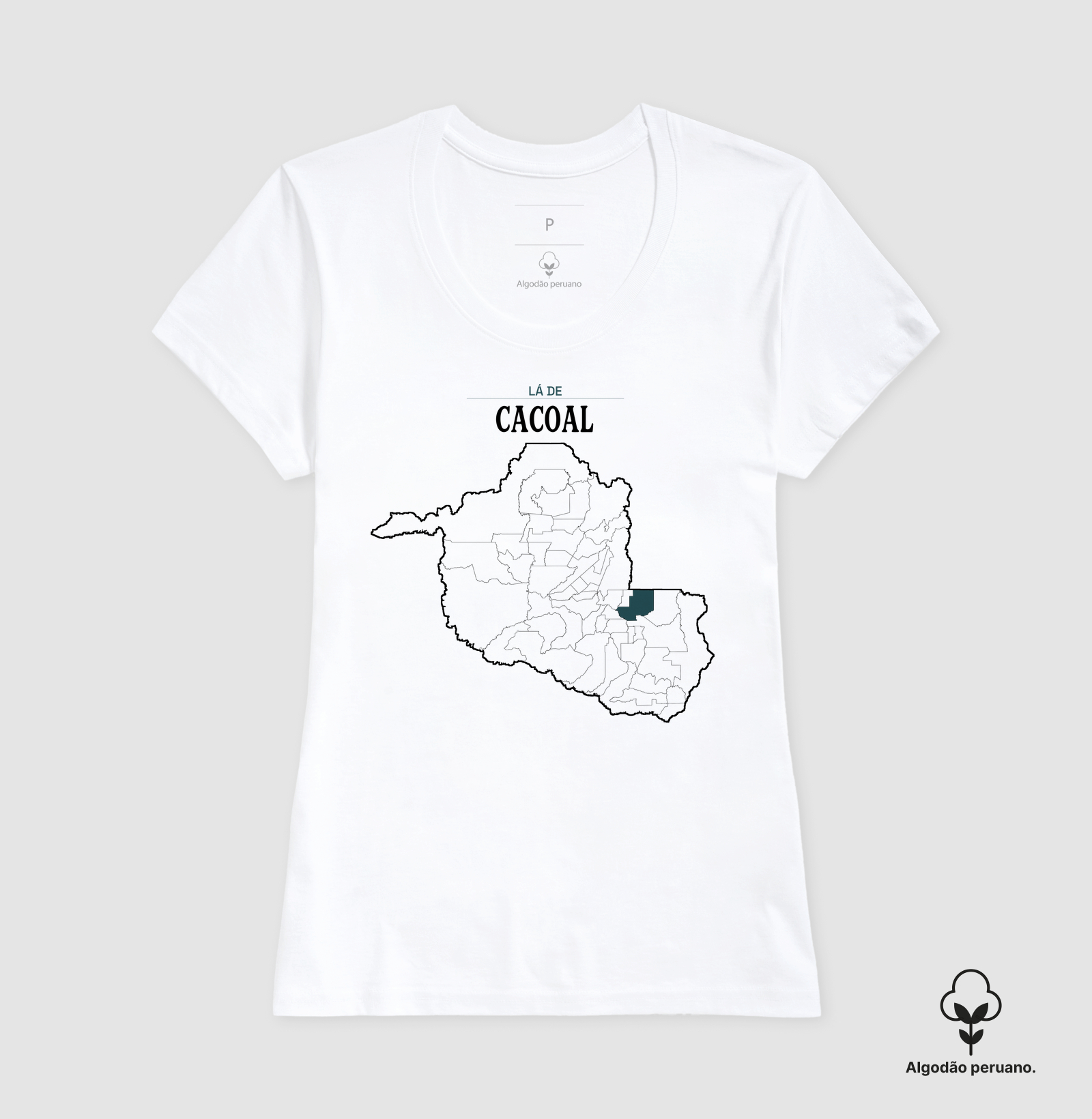 Cacoal | Território RO - Imagem 7