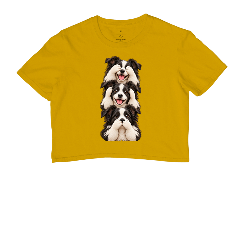 Ver, ouvir e falar Border Collie - Imagem 8
