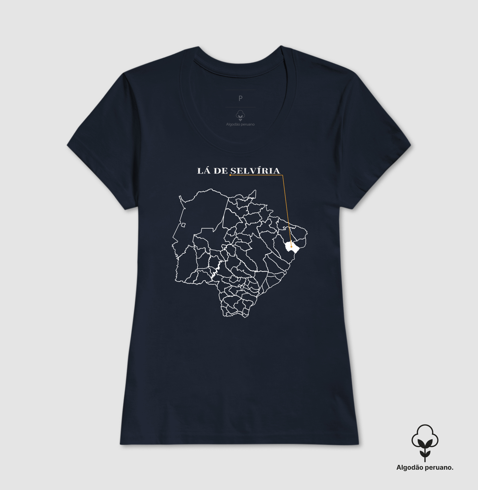Selvíria | Origem MS - Imagem 7