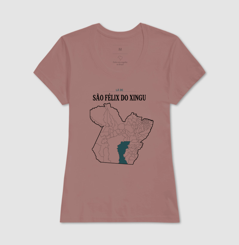 São Félix do Xingu | Território PA - Imagem 17