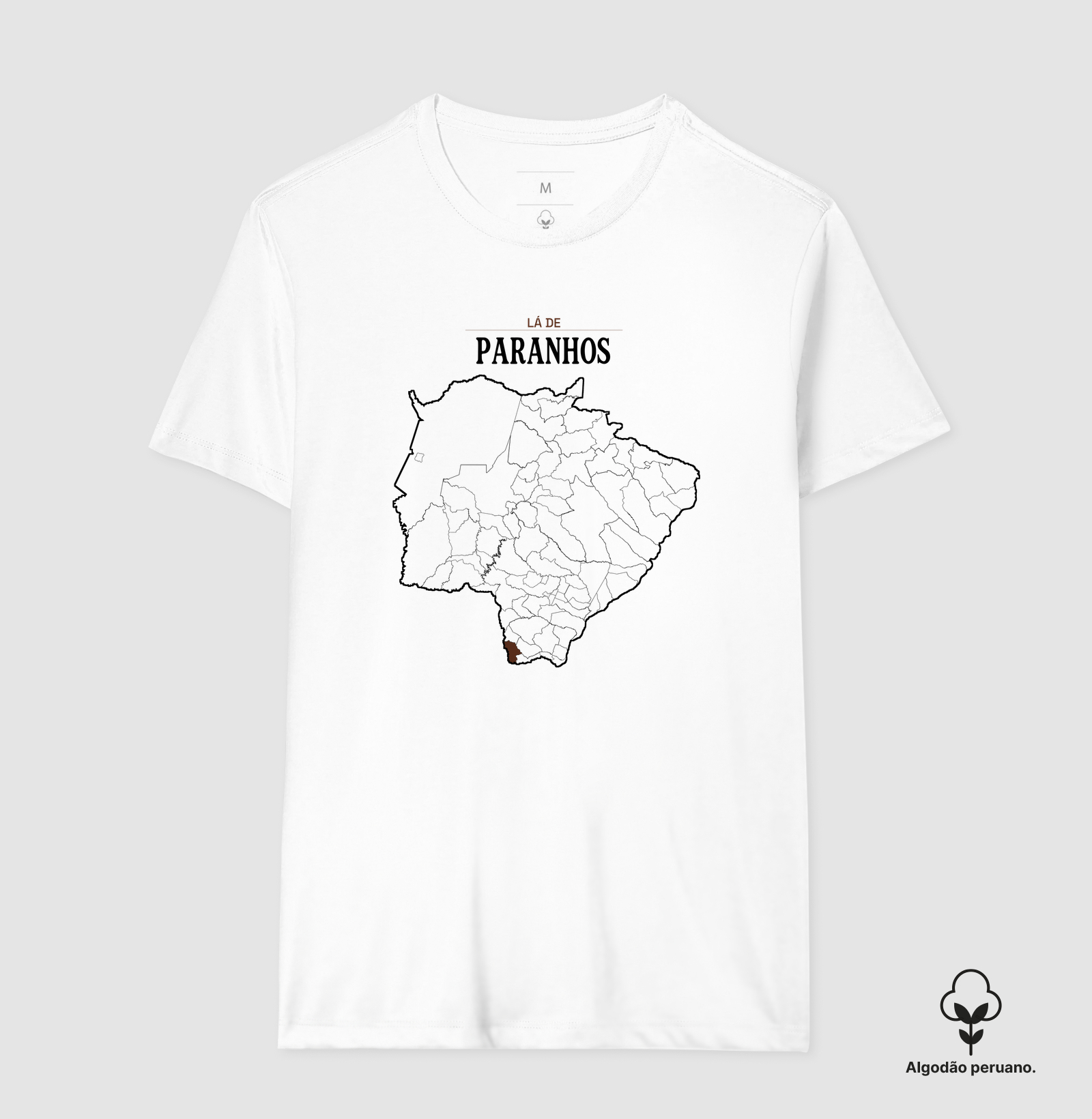 Paranhos | Território MS - Imagem 4