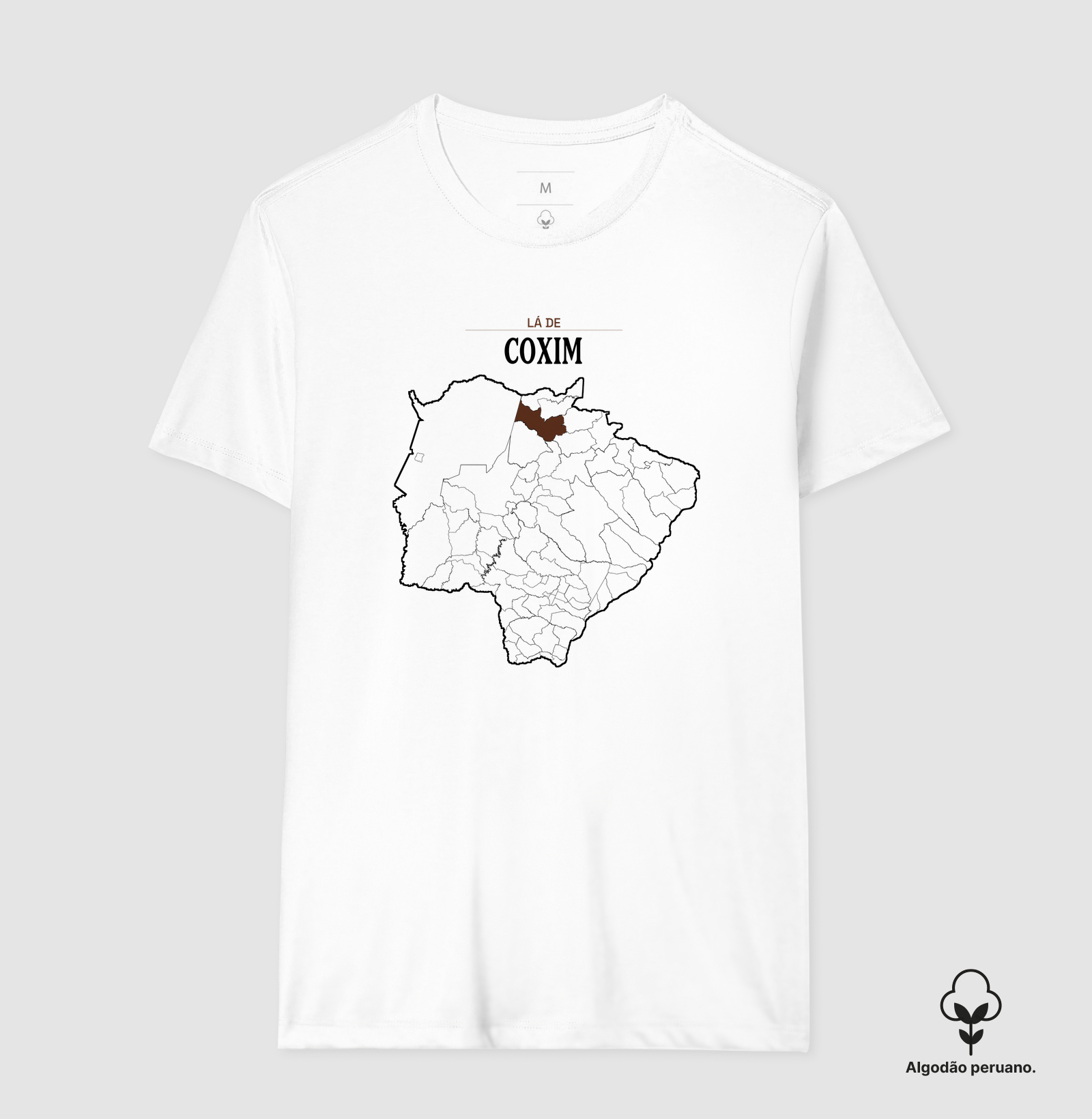 Coxim | Território MS - Imagem 5