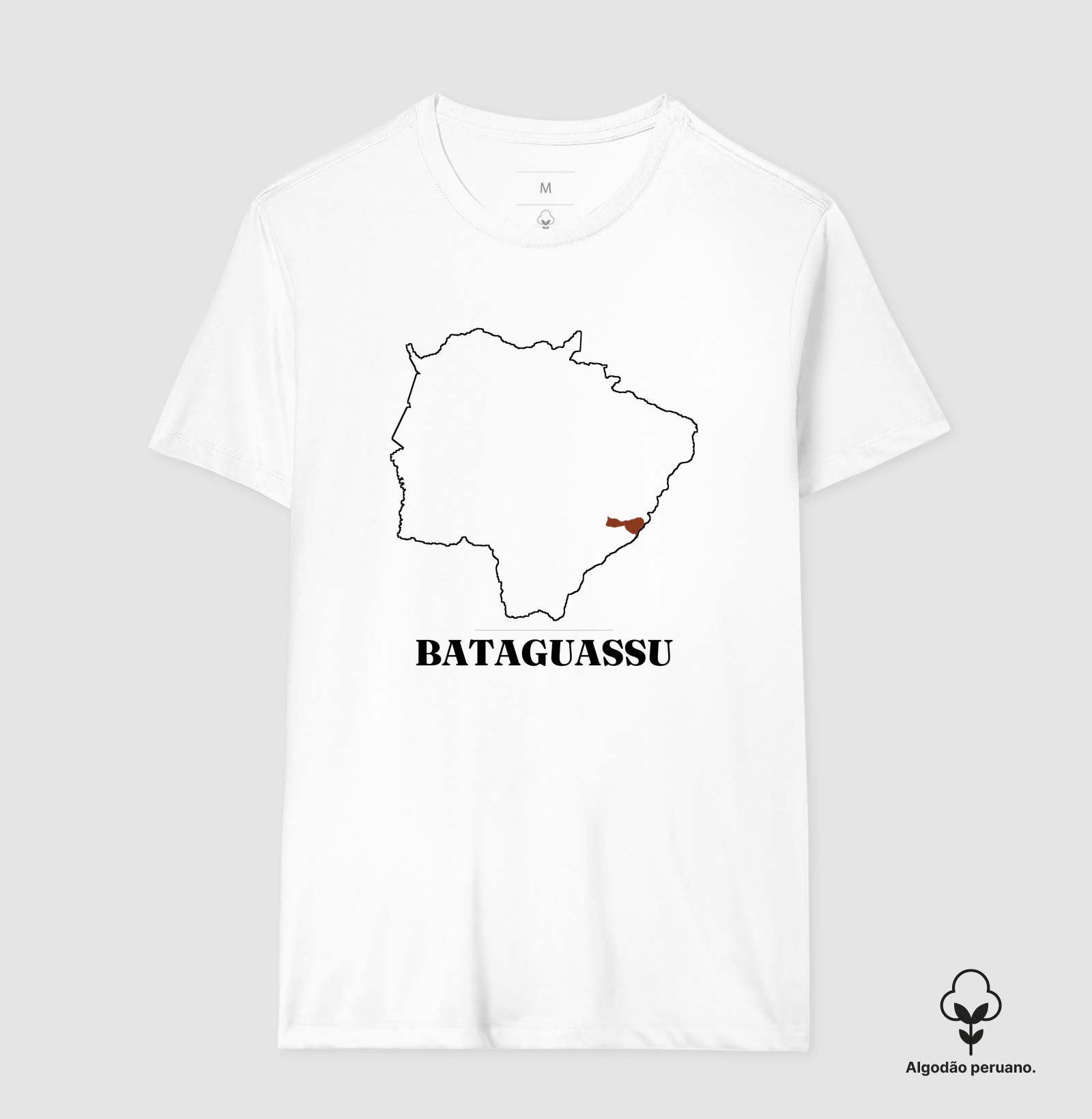Bataguassu | Traço MS - Imagem 7