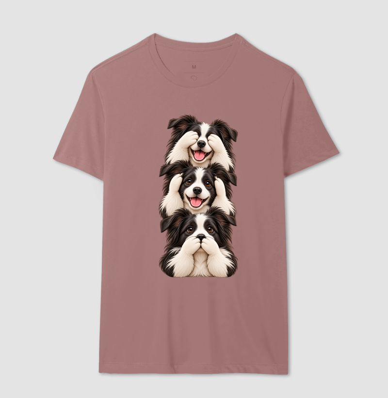 Ver, ouvir e falar Border Collie - Imagem 14