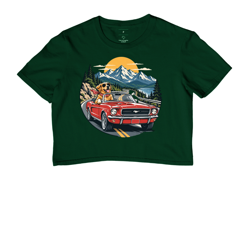 Road Trip - Imagem 5