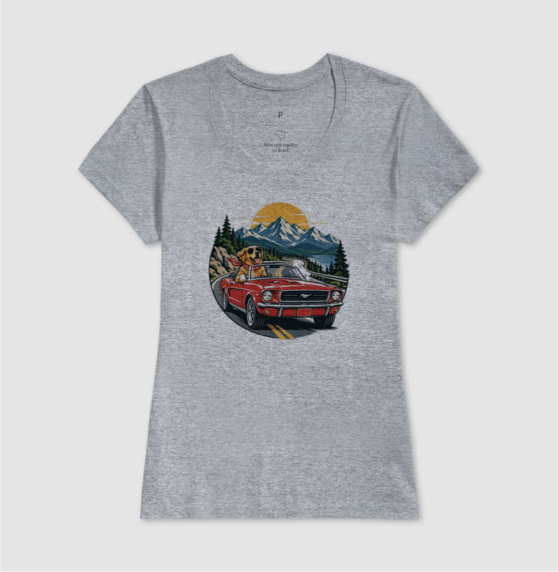 Road Trip - Imagem 9