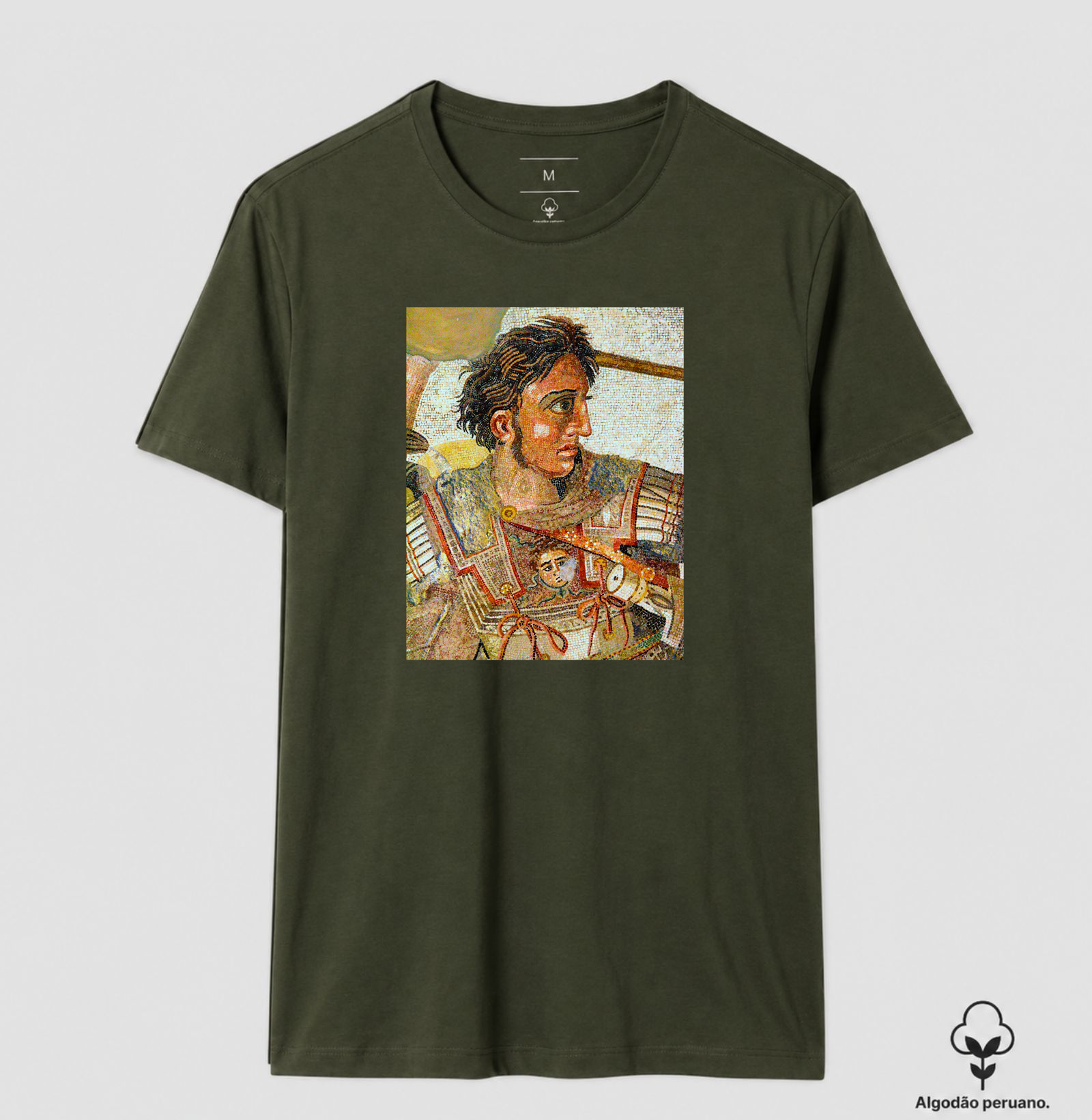 Alexandre, o Grande — Mosaico de Pompeia - Imagem 7