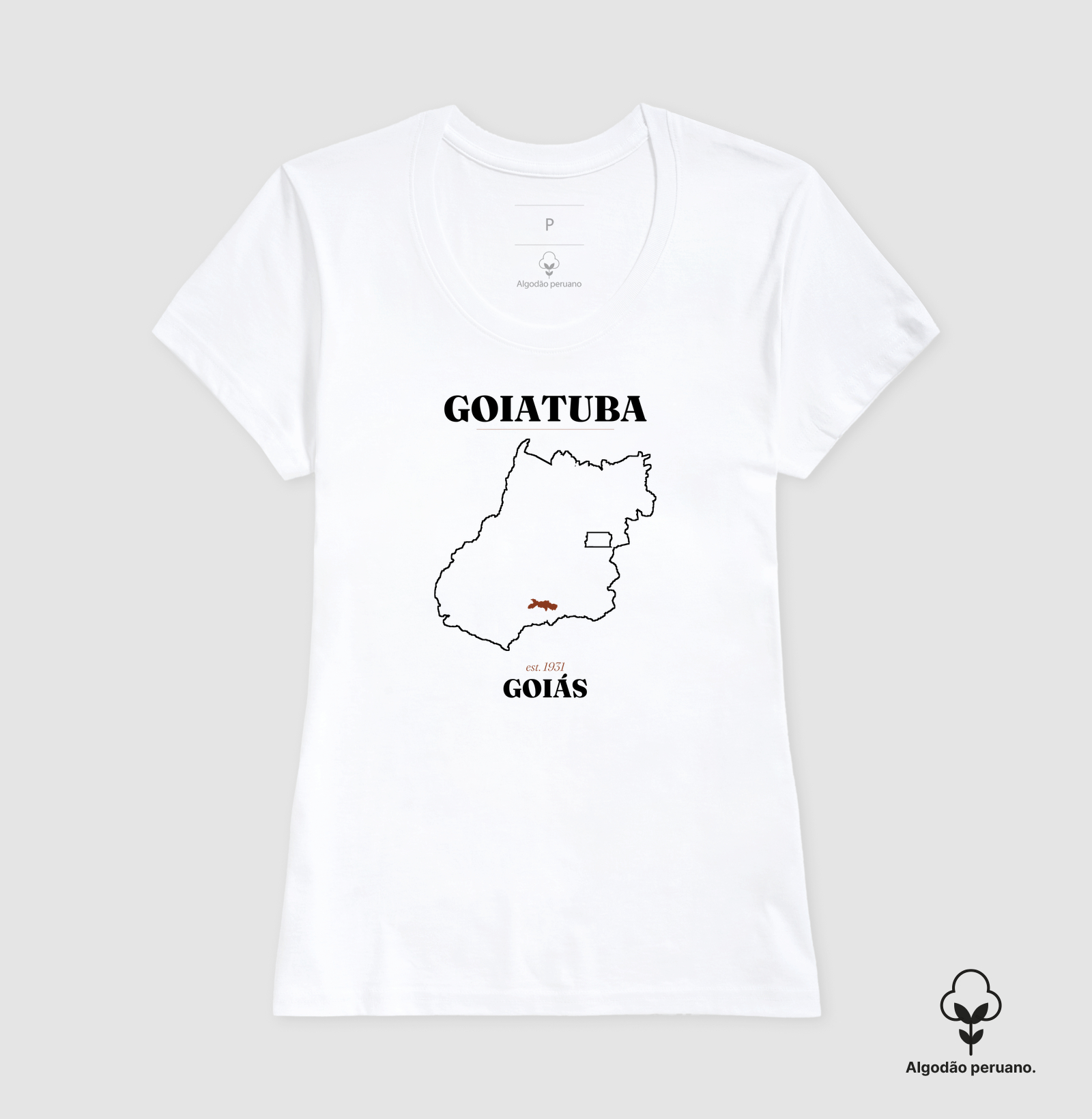 Goiatuba | Legado GO - Imagem 6