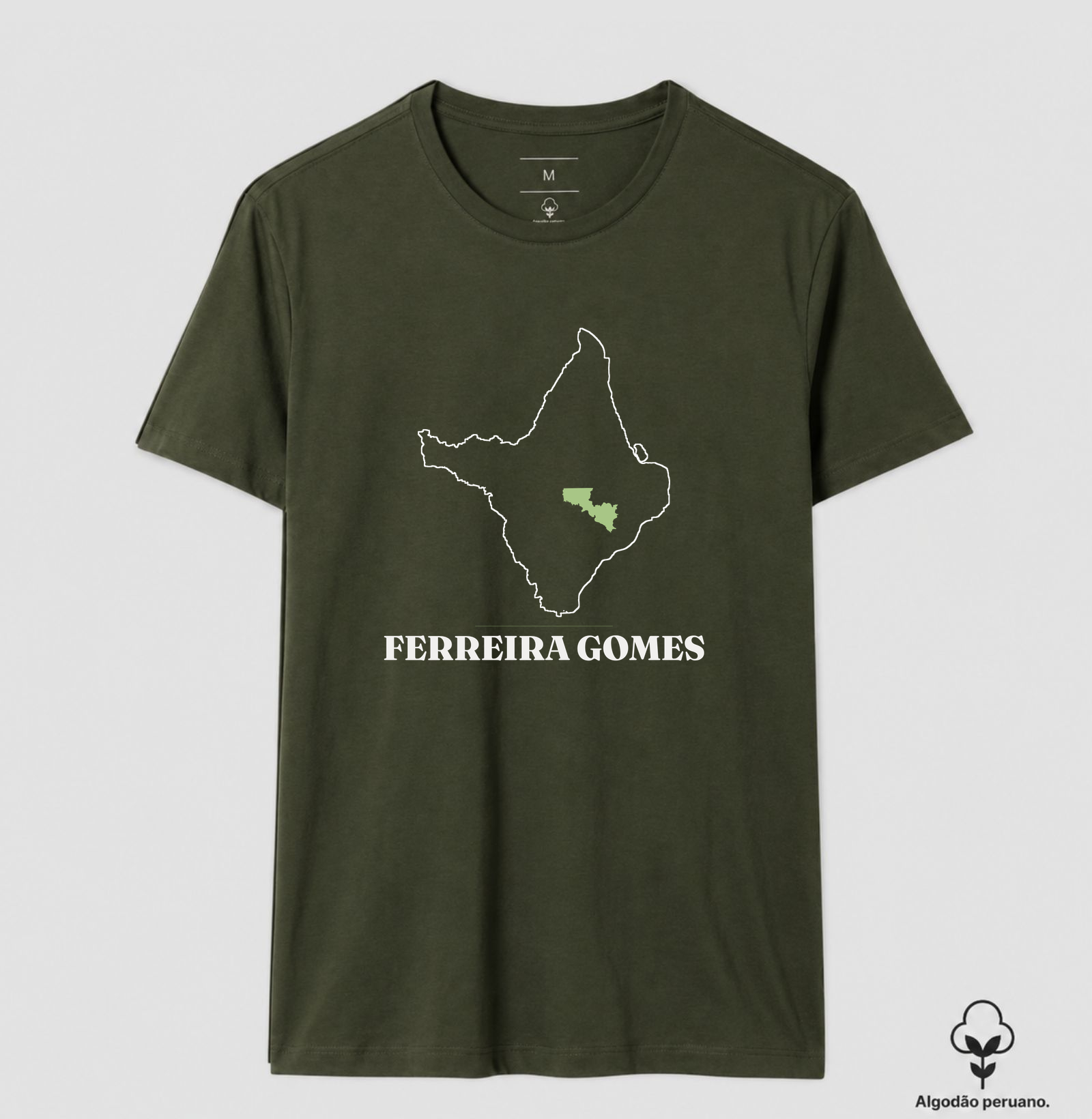 Ferreira Gomes | Traço AP - Imagem 8