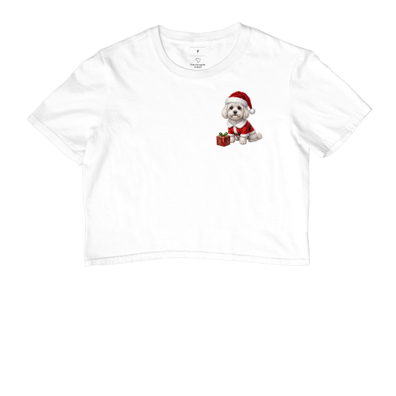 Bichon Bolonhês - Natal - Imagem 3