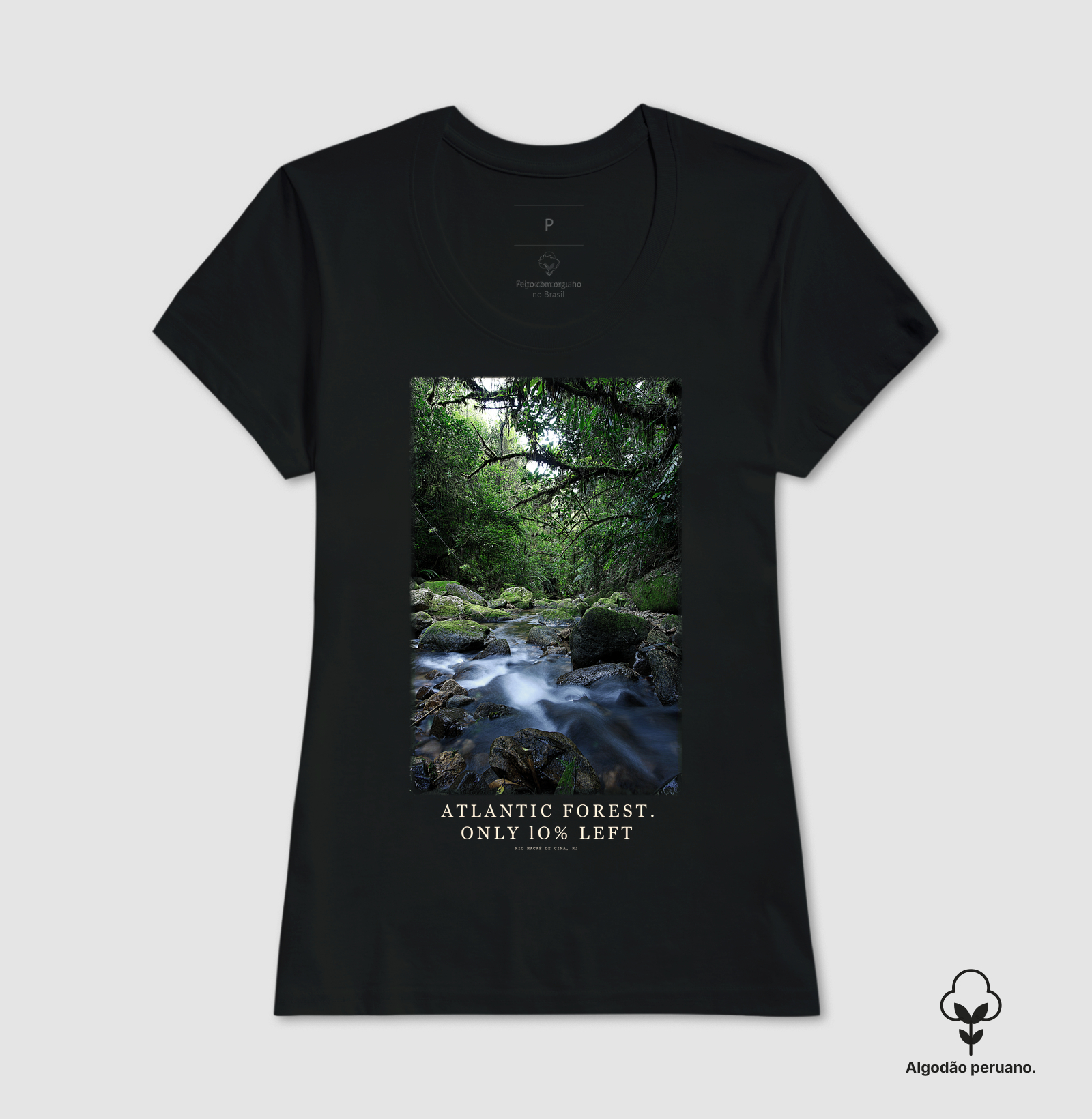 Atlantic Forest - Imagem 5
