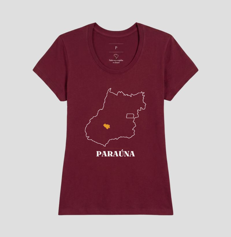 Paraúna | Traço GO - Imagem 19