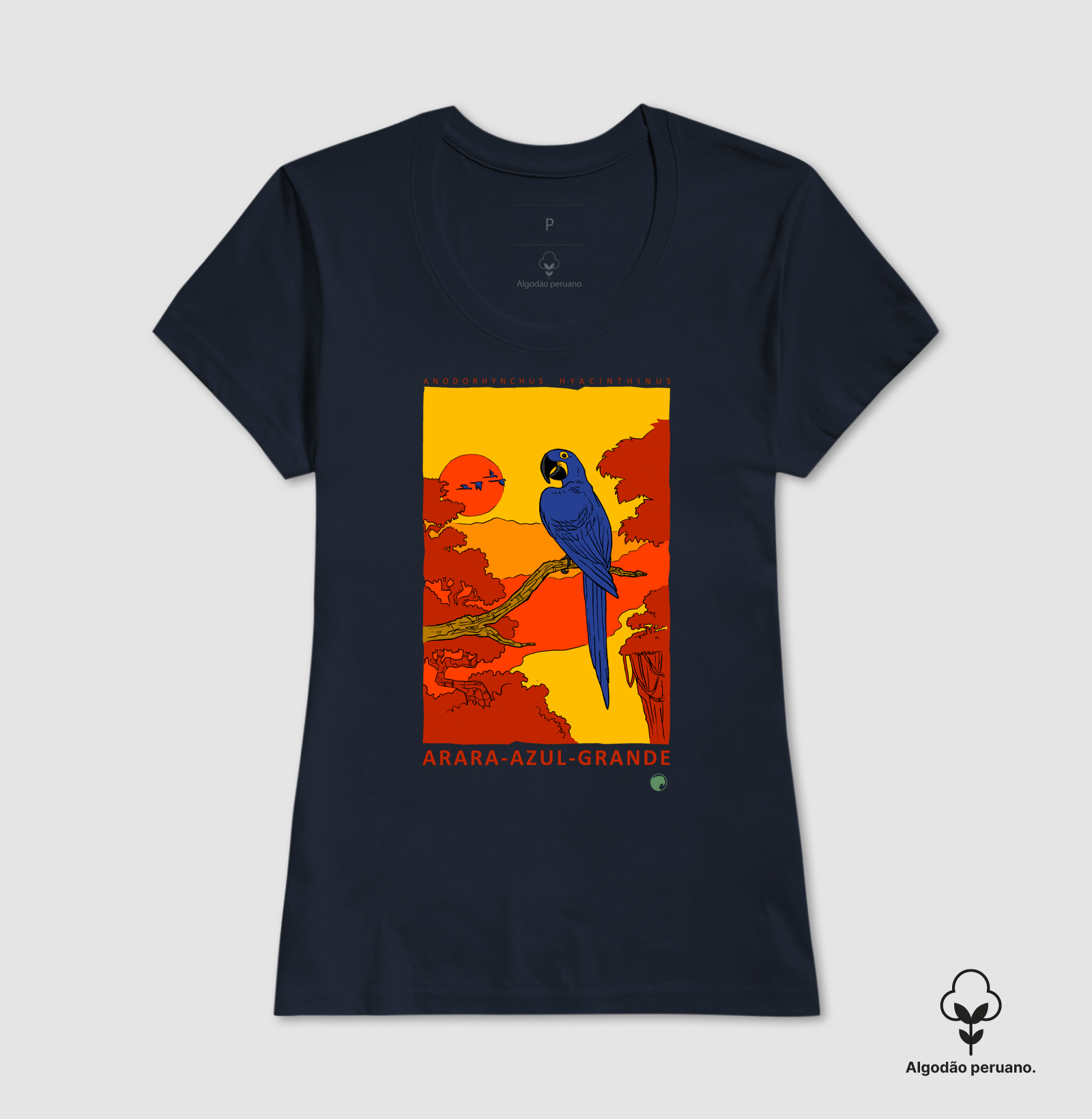 Arara-azul - Imagem 7