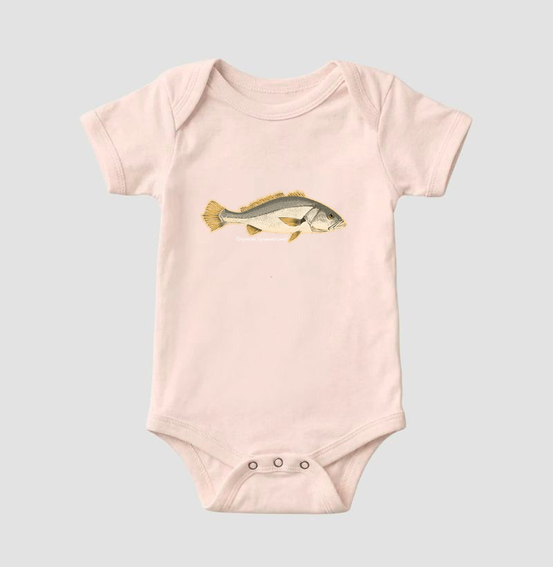 🎣 Corvina 🐟 - Imagem 5